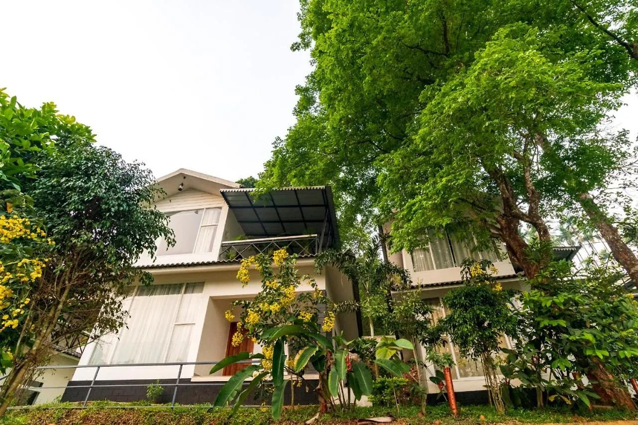 ***  Misty Peak Resort Wayanad Padinjarathara India