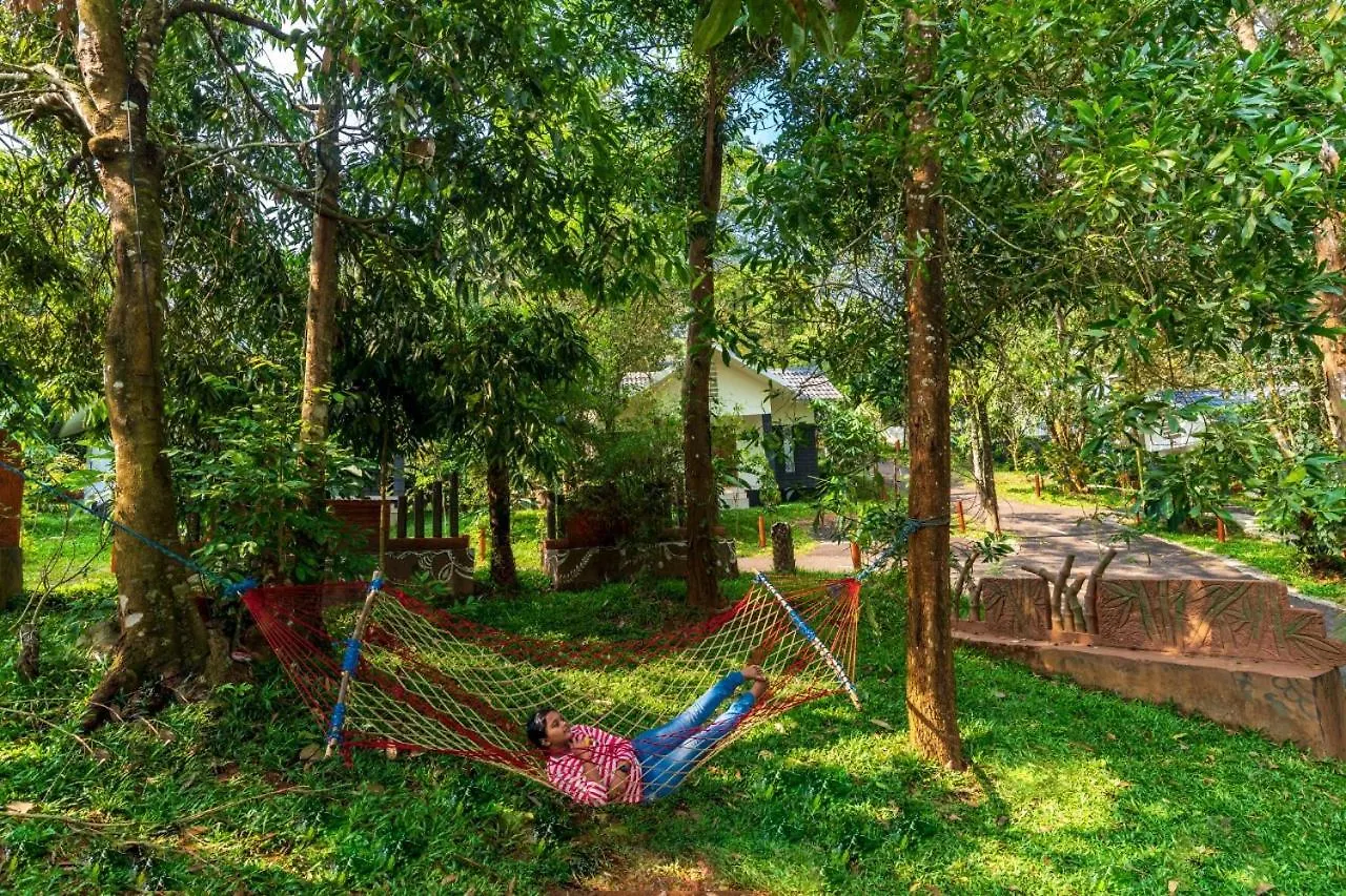 Misty Peak Resort Wayanad Padinjarathara